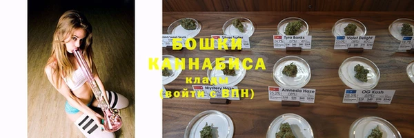 ГАЛЛЮЦИНОГЕННЫЕ ГРИБЫ Верхний Тагил