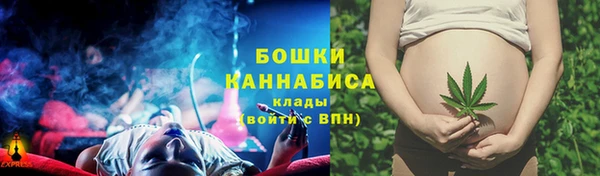 ГАЛЛЮЦИНОГЕННЫЕ ГРИБЫ Верхний Тагил