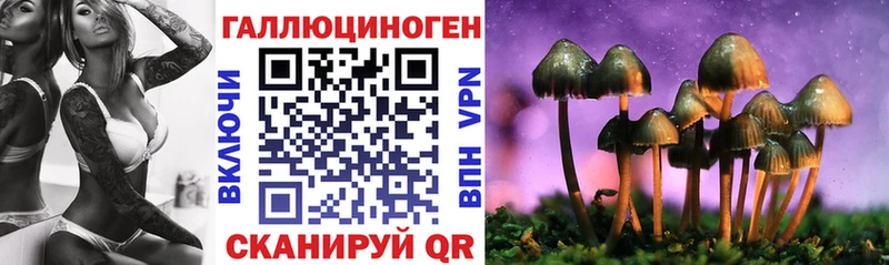 Купить где  Вышний Волочёк  Псилоцибиновые грибы ЛСД 