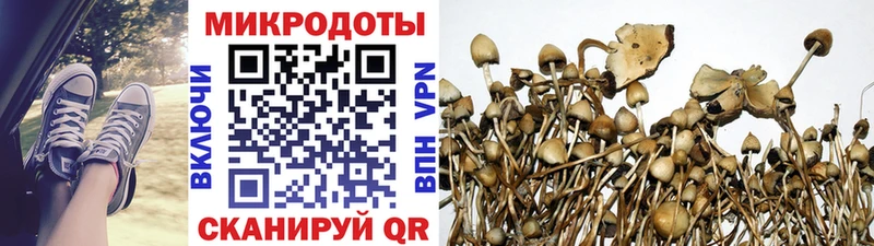 Галлюциногенные грибы мухоморы Вышний Волочёк