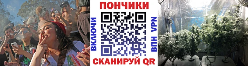 Купить  Вышний Волочёк  МАРИХУАНА гибрид 